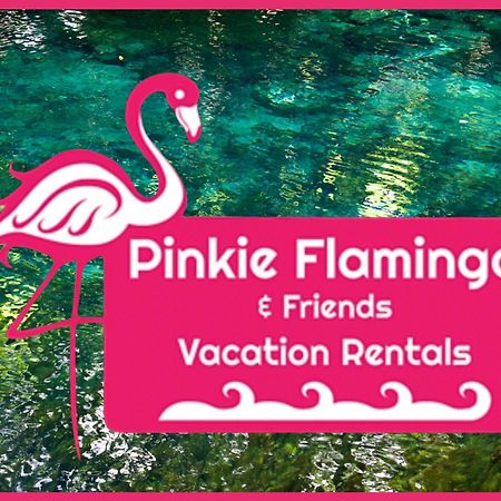 Anna'S Beach House Walk-Out To 30A In Seacrest- Pet-Friendly روزماري بيتش المظهر الخارجي الصورة